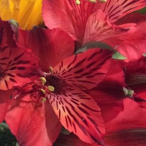 Meet your Posher, Kerrin